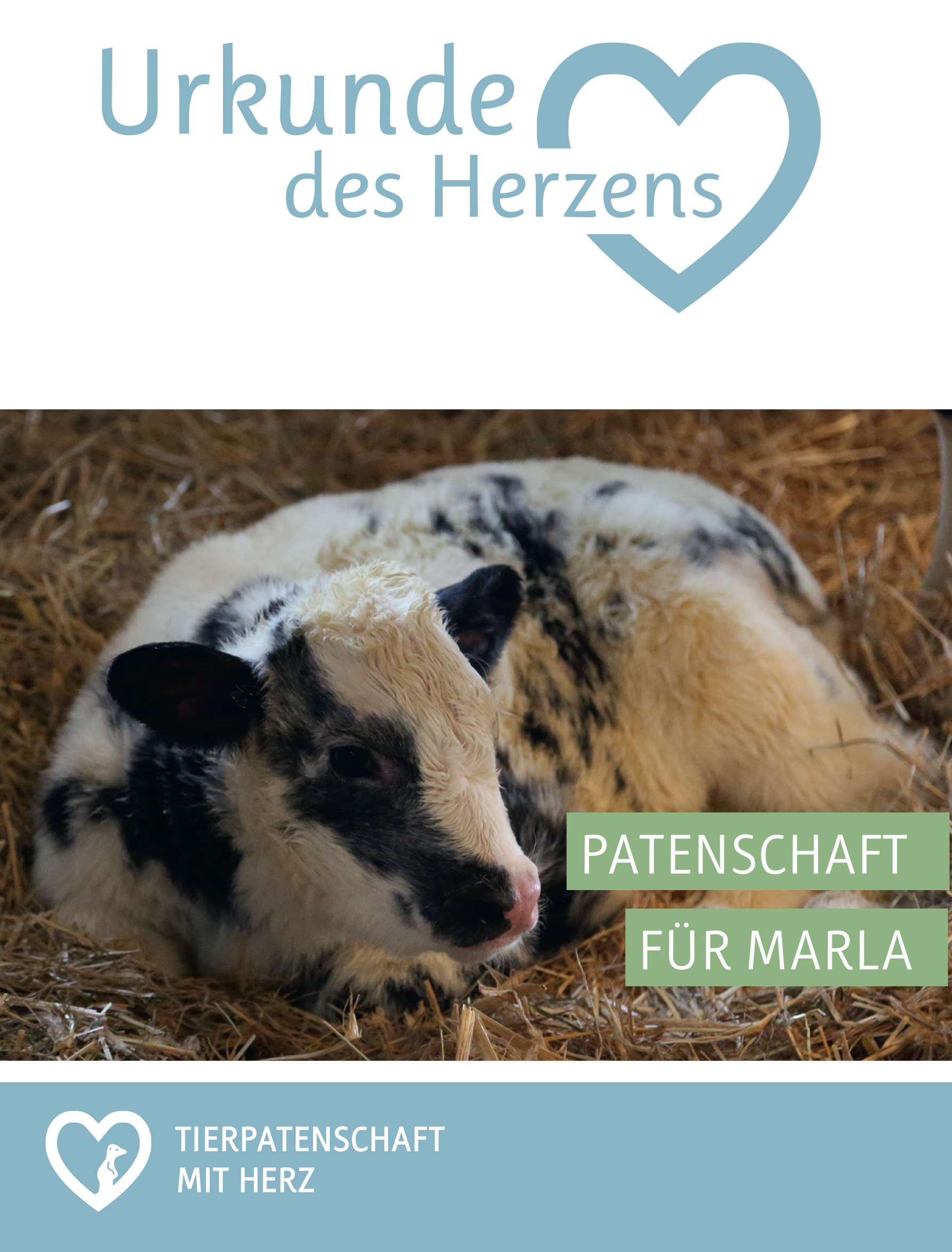 Urkunde-Kuh-Marla-1