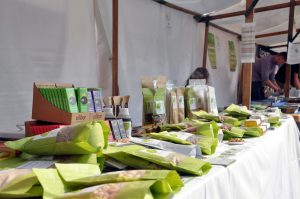 Größtes, veganes Sommerfest in Europa: Interview mit Silke vom Organisationsteam + Gewinnspiel