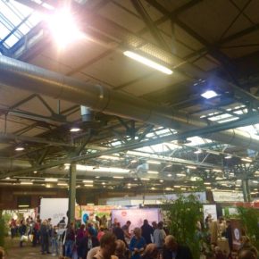 Die Highlights der VeggieWorld Berlin 2016 + Gewinnspiel