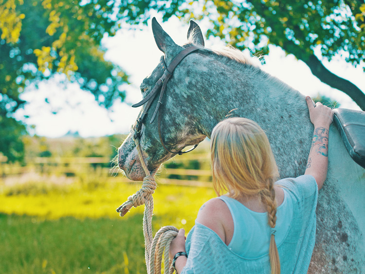 Tierkommunikation - kohlundkarma im Interview mit "Für Tiere sprechen"