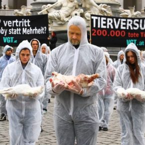 Film-Tipp „Im Namen der Tiere“ + Gewinnspiel