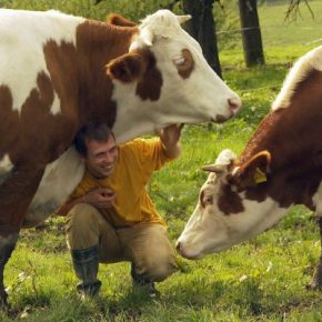 Film-Tipp „Im Namen der Tiere“ + Gewinnspiel