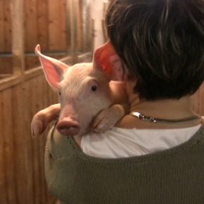 Film-Tipp „Im Namen der Tiere“ + Gewinnspiel