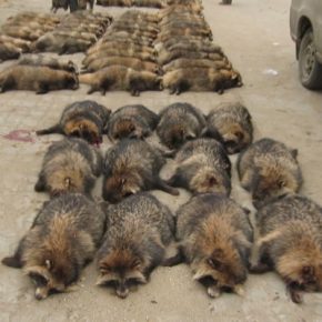 Film-Tipp „Im Namen der Tiere“ + Gewinnspiel