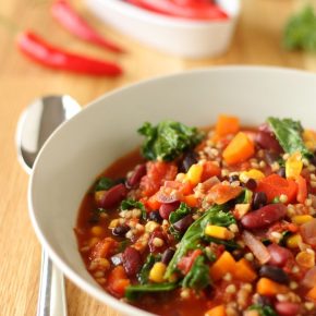 Vorgestellt: das erste Kochbuch von „Bevegt“ (+Verlosung)