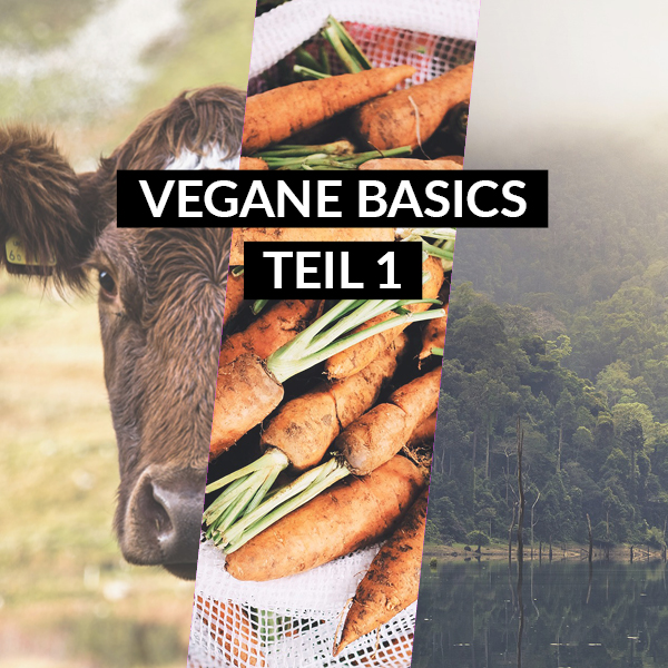 Vegan Basics, Teil 1: Warum vegan essen oder vegan leben?