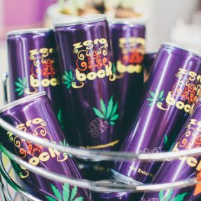 VeggieWorld Rhein-Main 2017 + Gewinnspiel