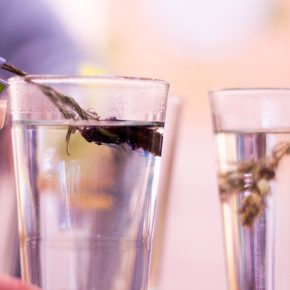 TOP Produktneuheiten von der BIOFACH 2017 plus Gewinnspiel