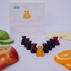 Vegane Fruchtsaft-Bärchen für Gaumen und Seele – jetzt gewinnen!
