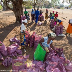 Berlin Organics – Superfoodmischungen und Crowdfunding für veganen Durstlöscher