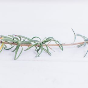 Veganen Aufstrich selber machen – mit nur 7 Zutaten