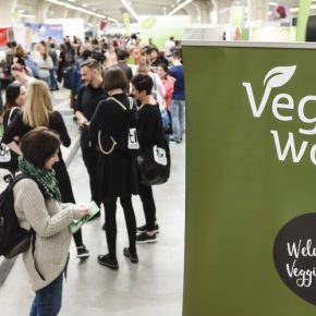 VeggieWorld-Eingangsbereich