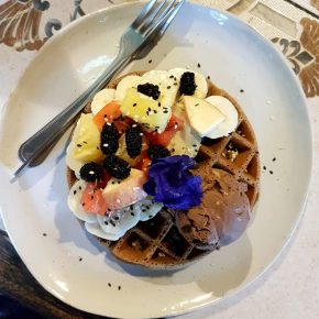 vegan-buchweizen-waffel-earth-tone-pai-thailand