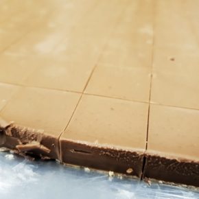 Die fabelhafte Geschichte von Solvejg und ihrer veganen Pralinenmanufaktur