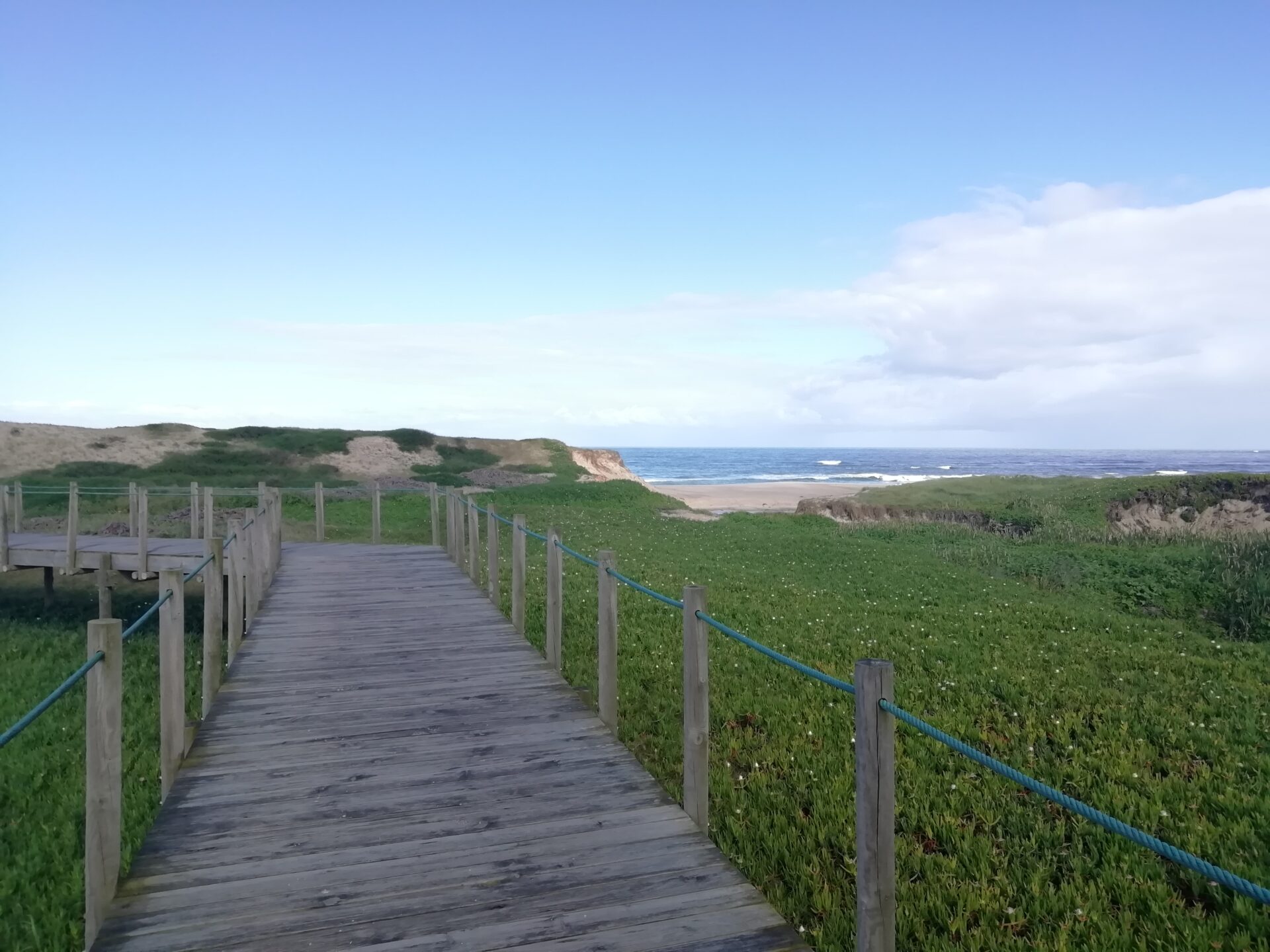 Erfahrungen vom Jakobsweg – unsere Autorin Kimberley berichtet