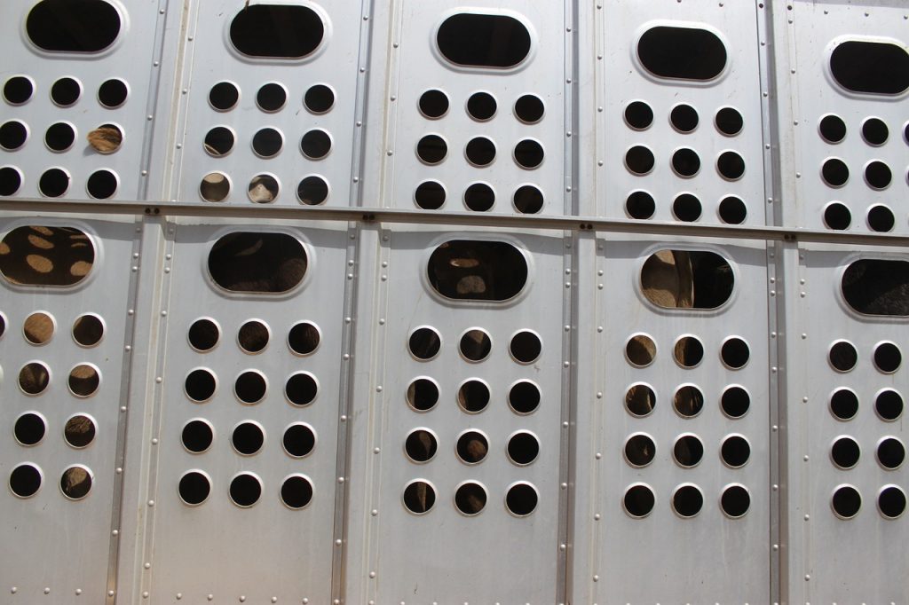 tiertransport_pixabay