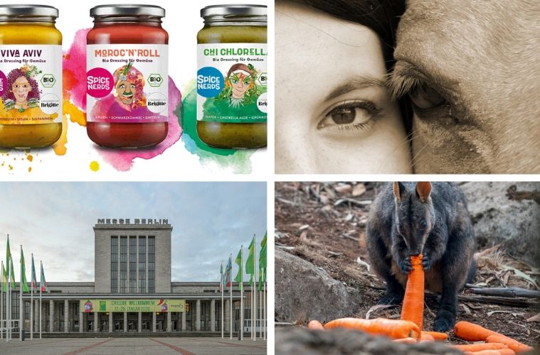 titelbild_news_170120