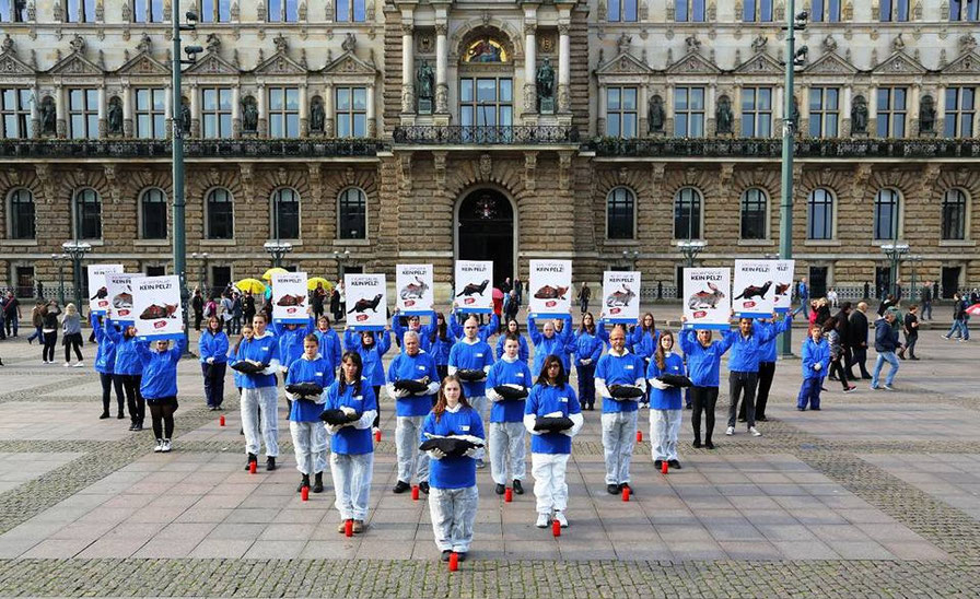 Tierrechtsorganisationen für Veganismus