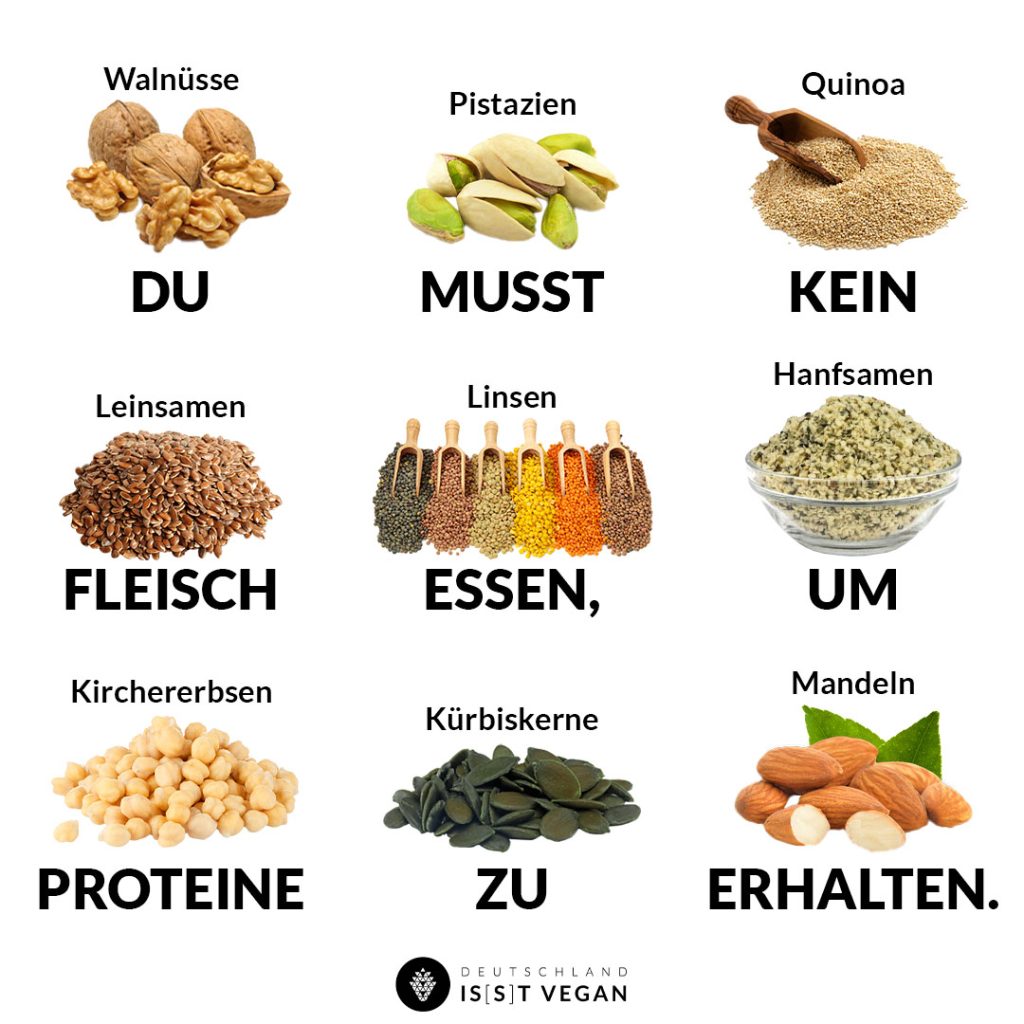 vegane Proteinquellen