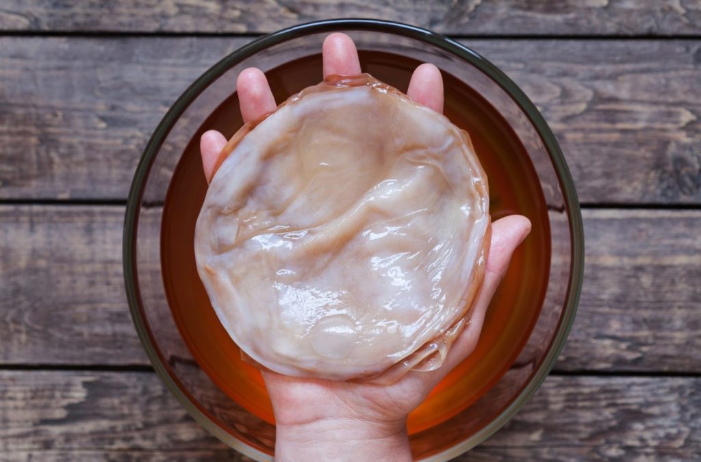 kombucha selber brauen