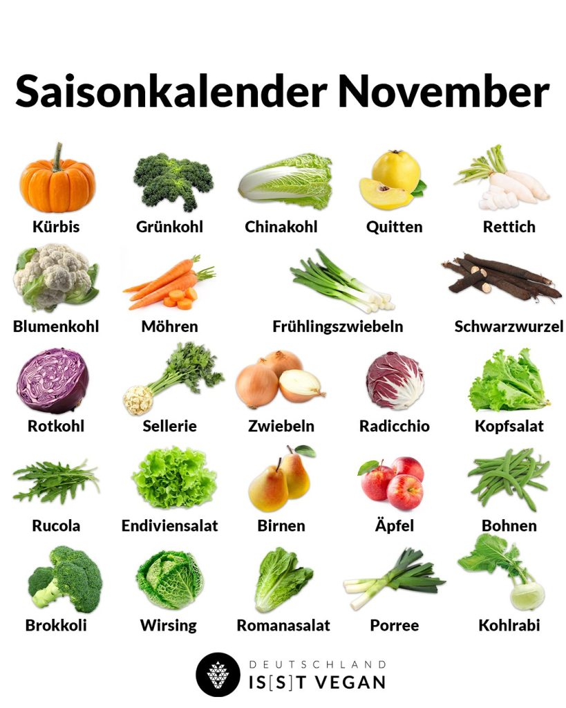 Warenkunde Blumenkohl