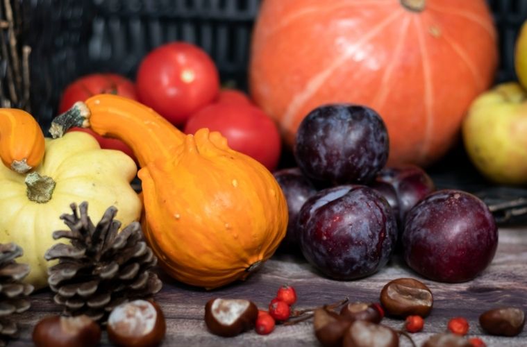 Vegane Gerichte für den Herbst: Lecker Start in die dunkle Jahreszeit