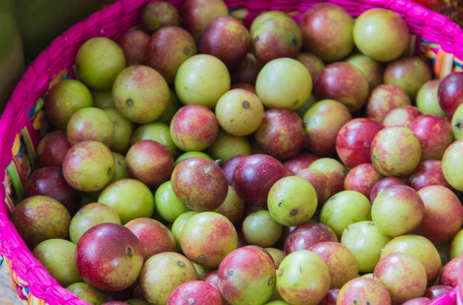 Warenkunde_vegan_Camu-Camu