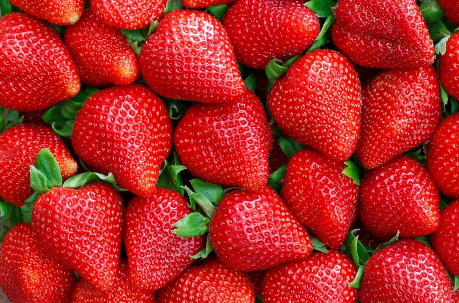 Warenkunde_vegan_Erdbeeren