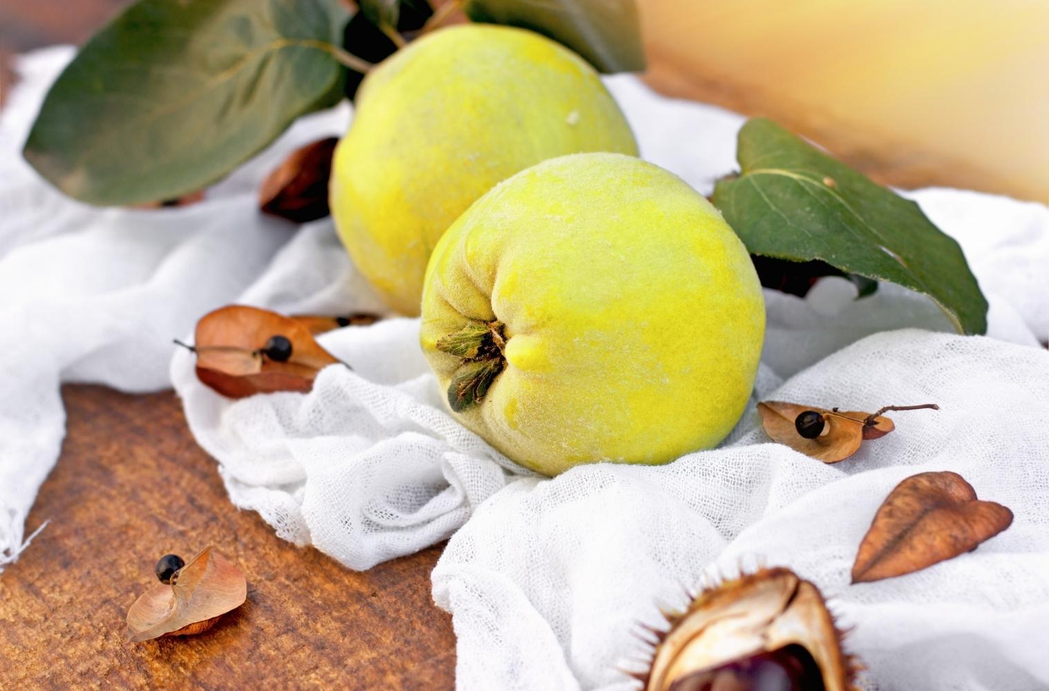 Warenkunde_vegan_Quitte