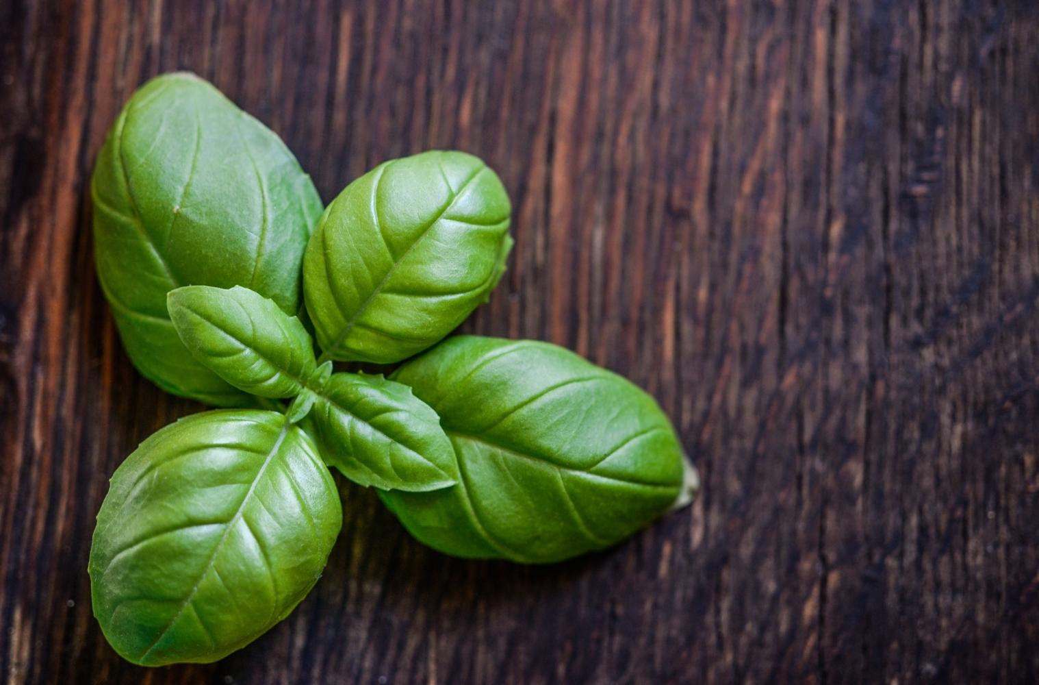 Warenkunde_vegan_basilikum
