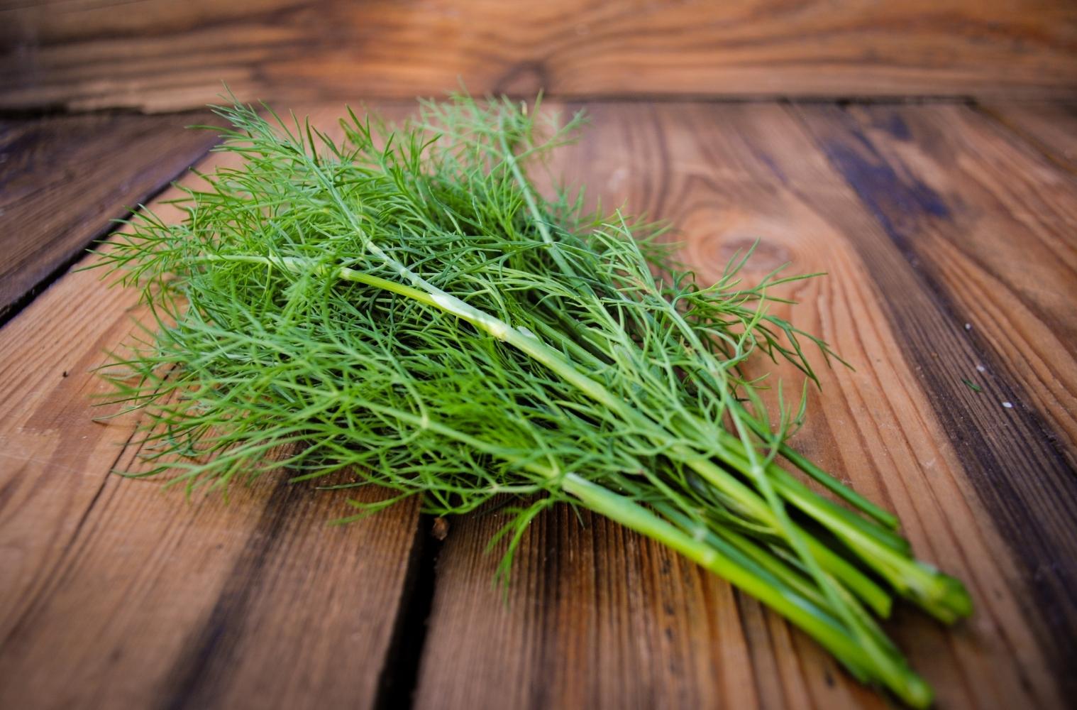 Warenkunde_vegan_dill