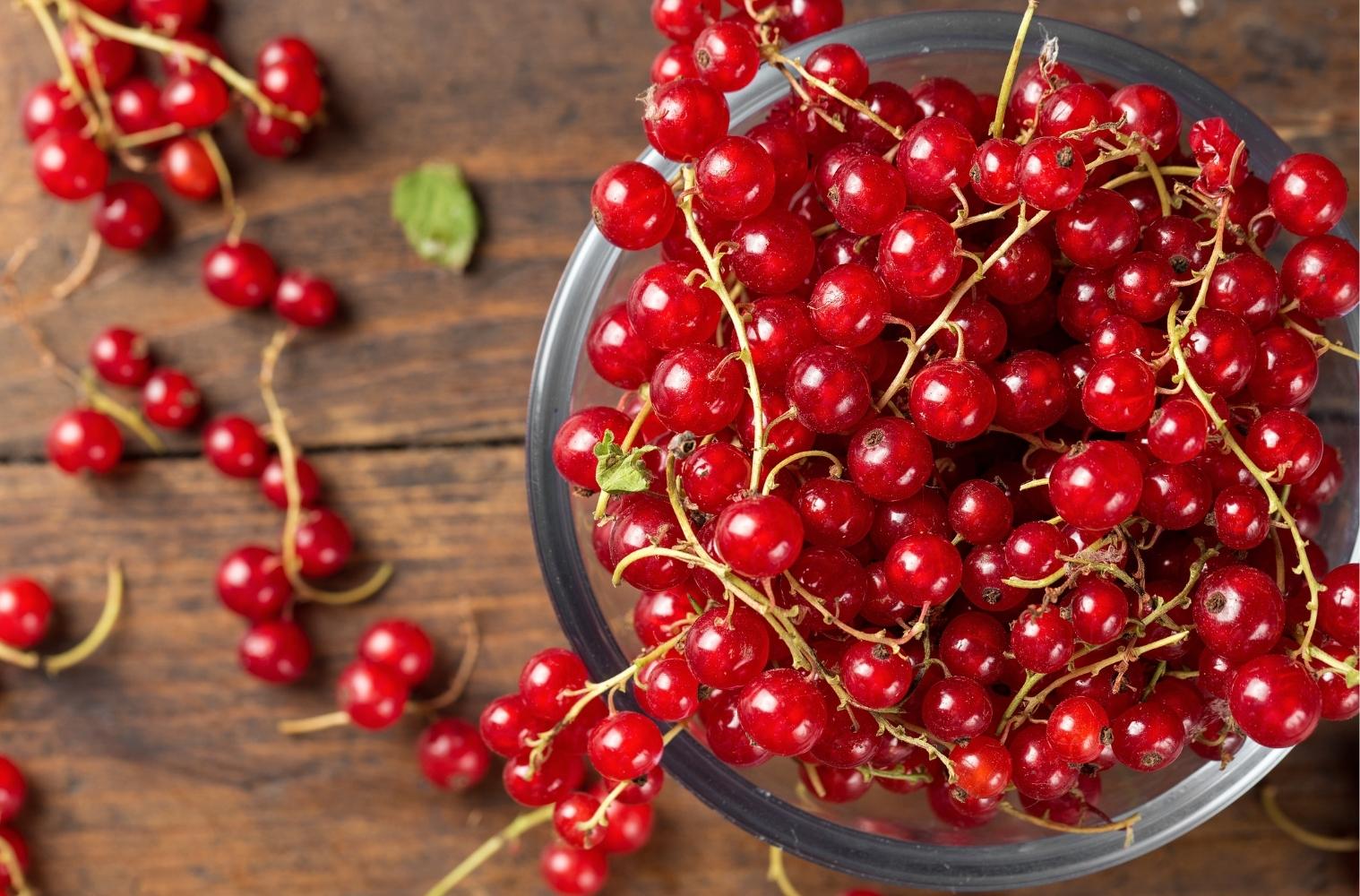 Warenkunde_vegan_johannisbeere