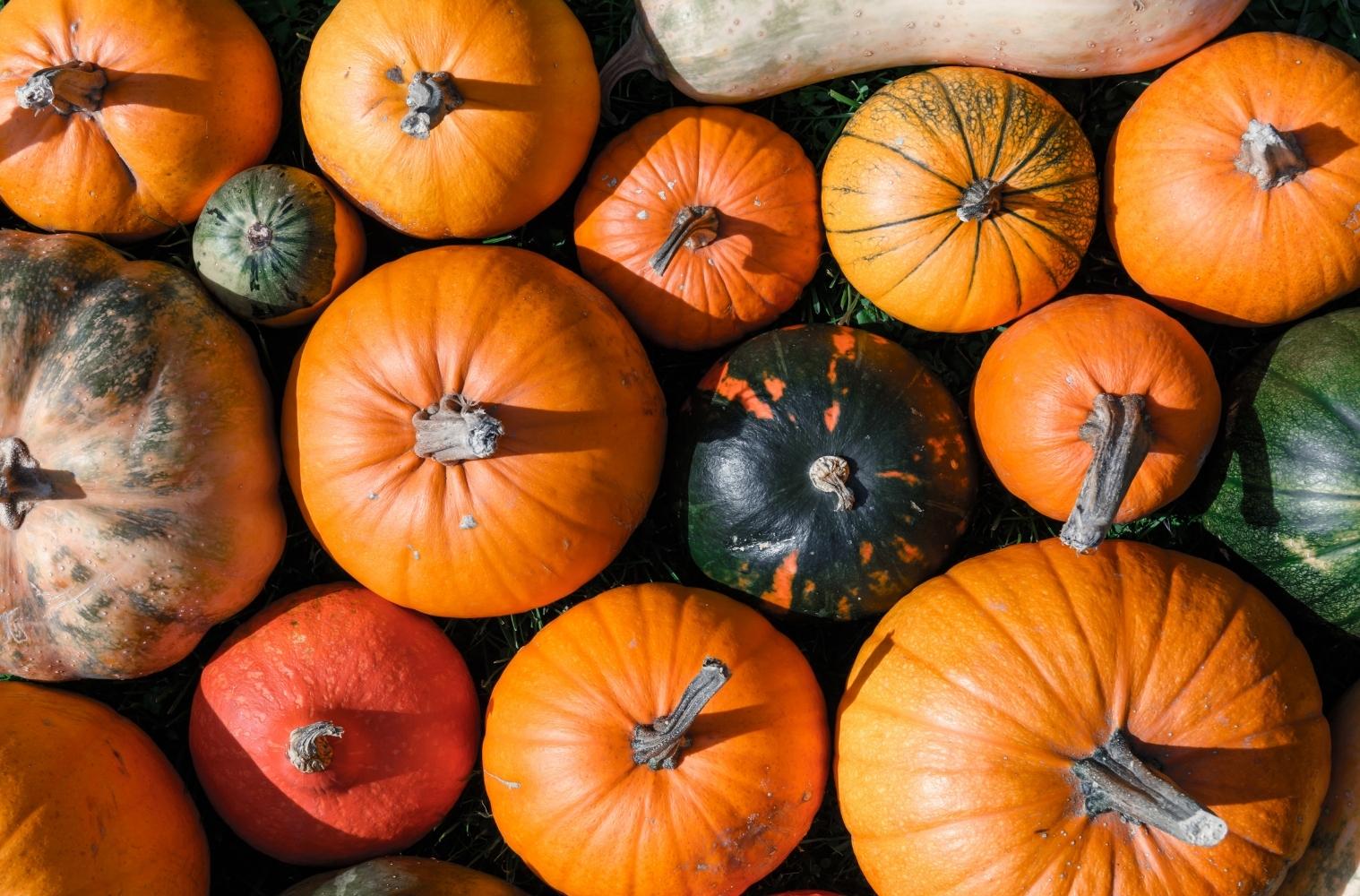 Warenkunde_vegan_kicherebsen