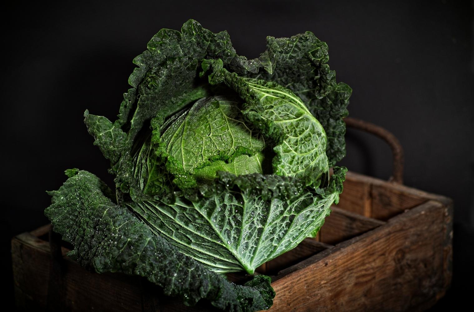 Warenkunde_vegan_wirsing