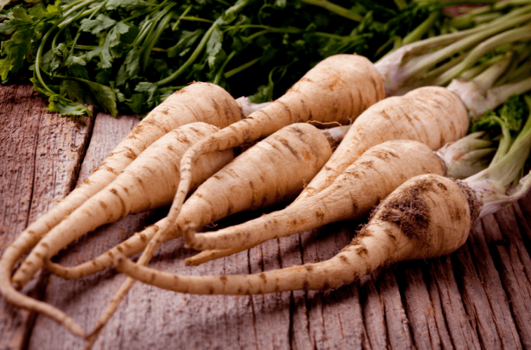 Petersilienwurzel