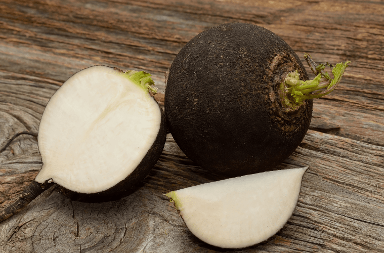 schwarzer Rettich