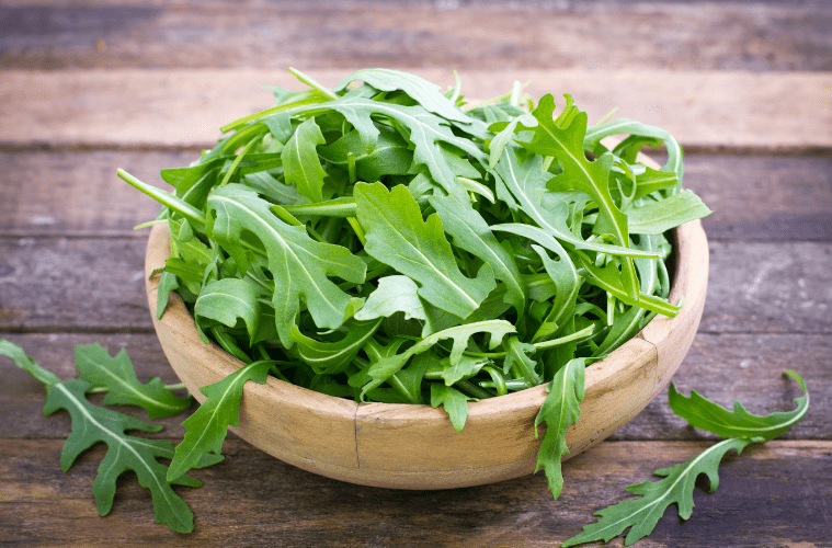 rucola vegane warenkunde