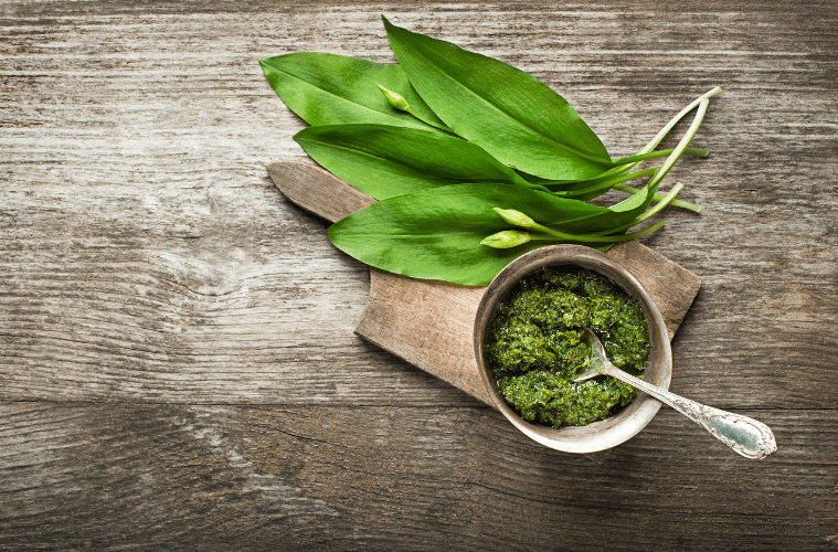 Bärlauch vegane Warenkunde