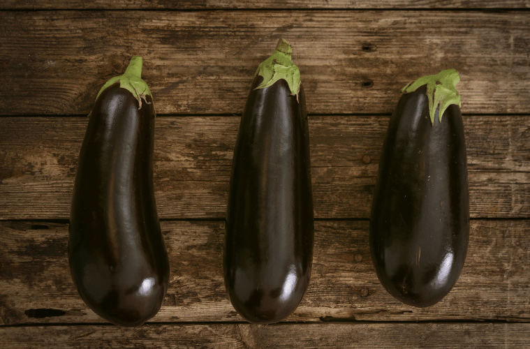 Aubergine vegane Warenkunde