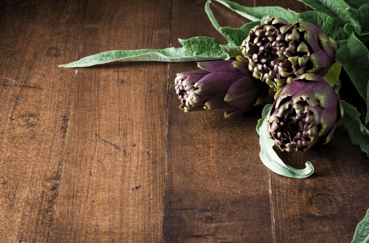 Artischocke vegane Warenkunde
