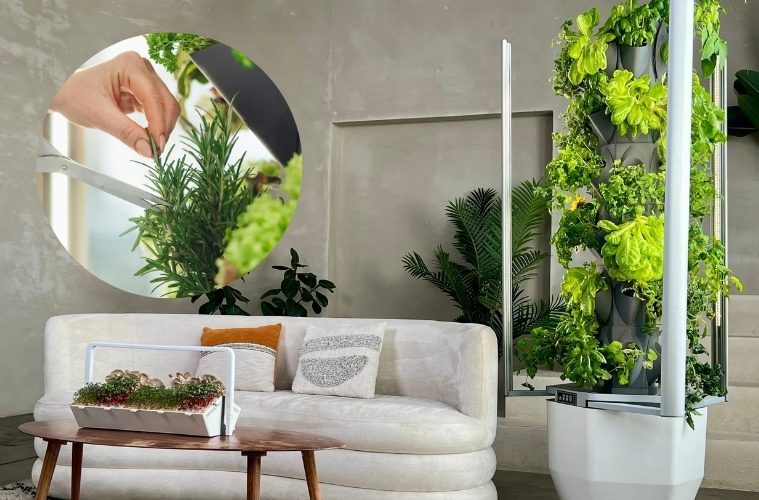 Indoor Gardening Deutschland, Salat im Winter anbauen, Hydroponik System, Greeny Erfahrungen, vegane Selbstversorgung, Kräuter zuhause ziehen, nachhaltige Ernährung, Urban Farming Deutschland